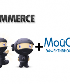 Лицензионный ключ на обновления и тех. поддержку плагинов MSWOO 1 год.